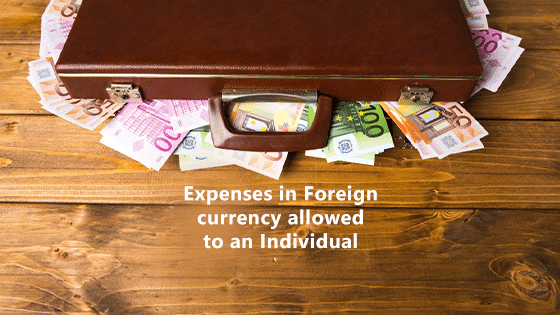 Foreign Currency Expenses Allowed to an Individual