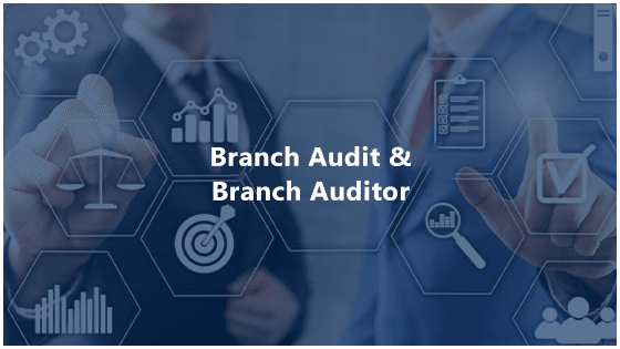 Branch Audit and Branch Auditor